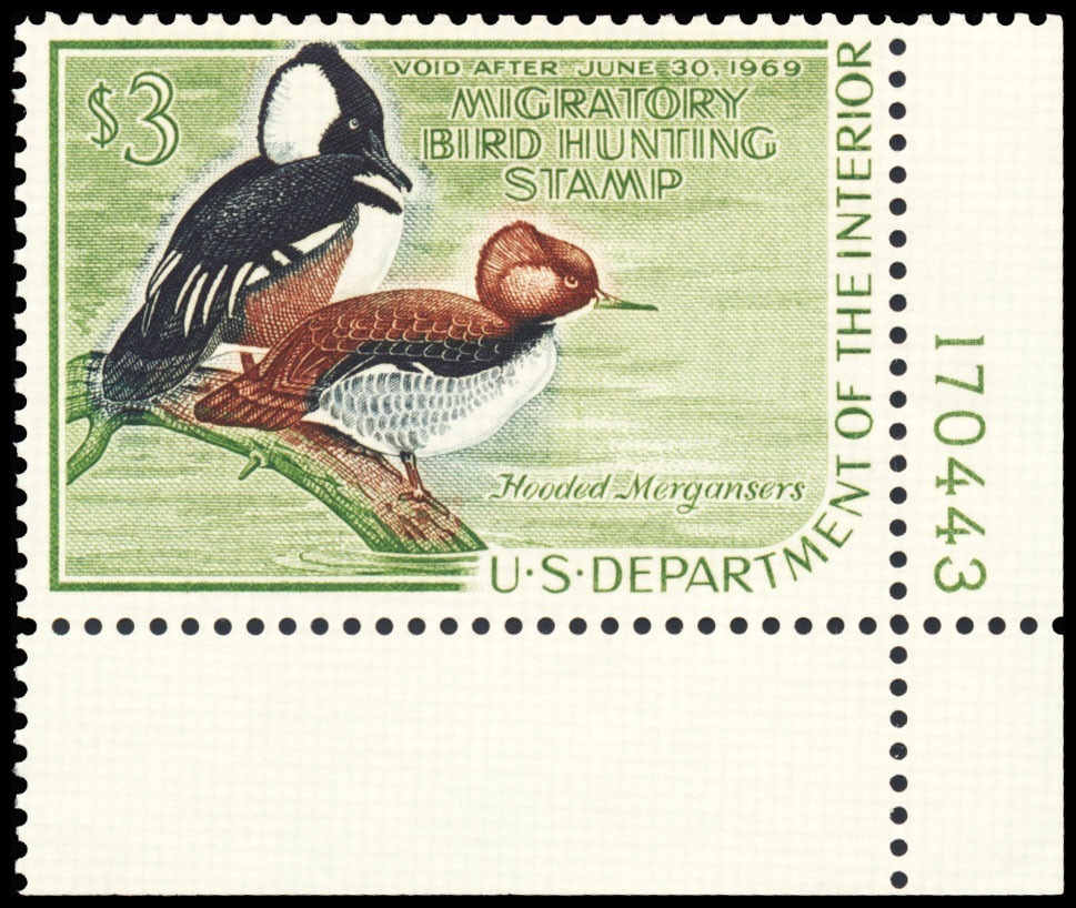 Lot 99706 - RW35
