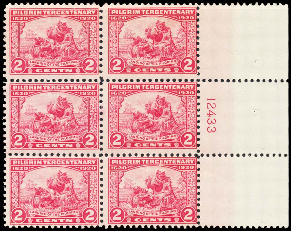Lot 101446 - 549