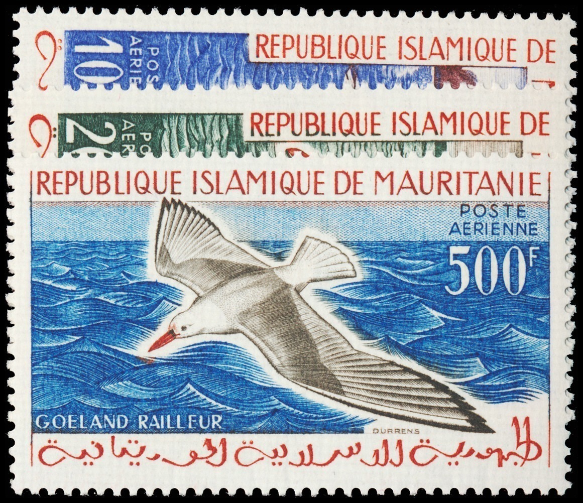 Lot 112738 - C14-16