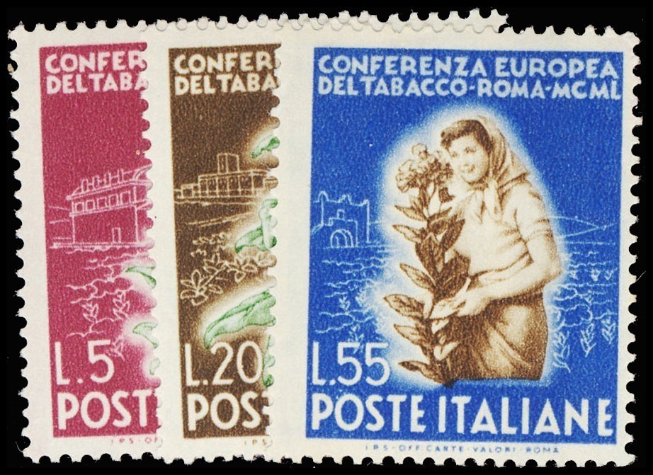 Lot 115993 - 544-46