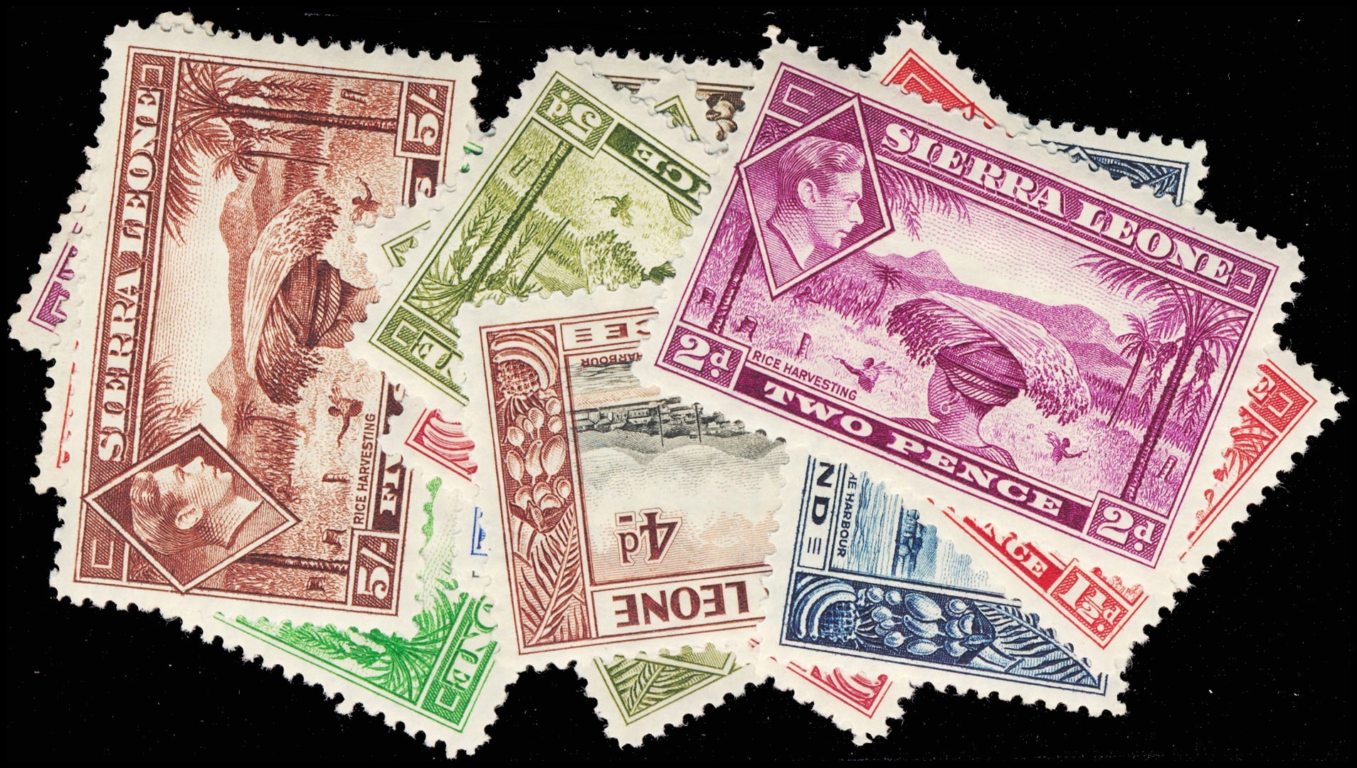Lot 116767 - 173-85