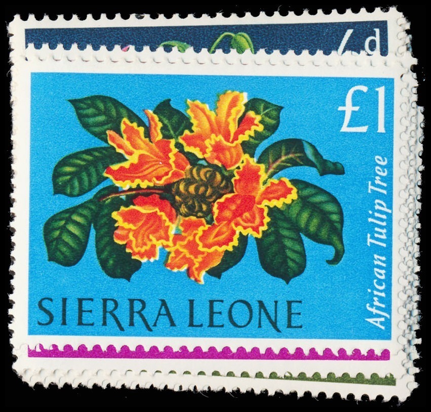 Lot 116772 - 227-39