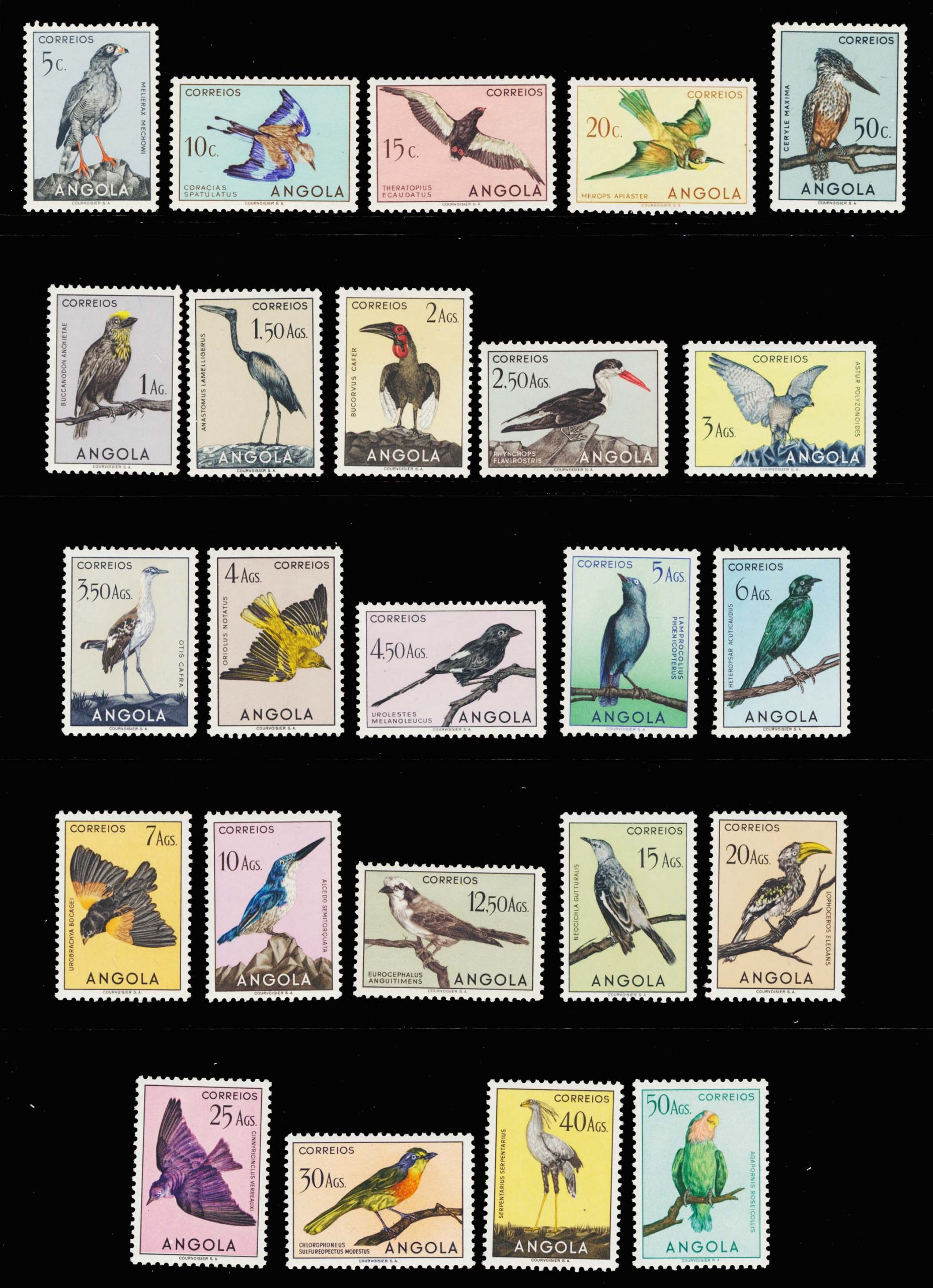 Lot 118254 - 333-56