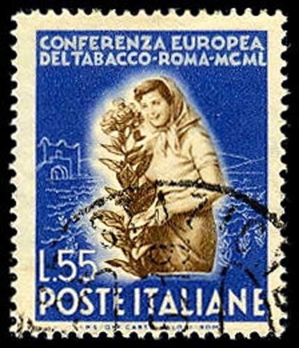 Lot 53189 - 546
