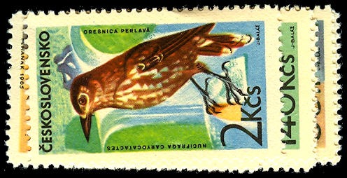 Lot 54323 - 1339-44