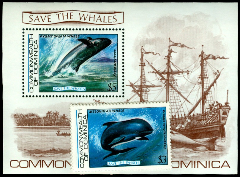 Lot 56486 - 791-95