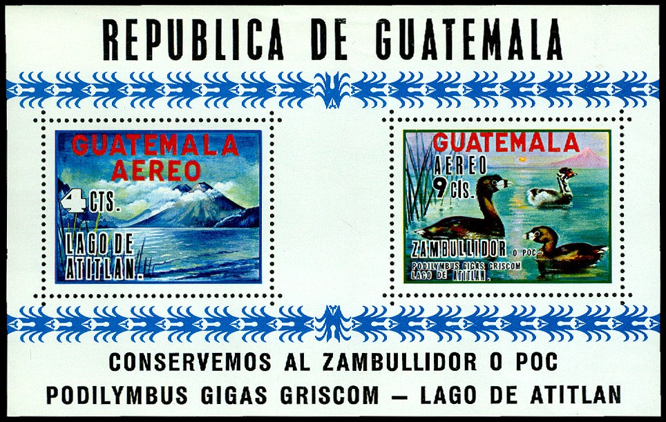 Lot 56622 - C448a