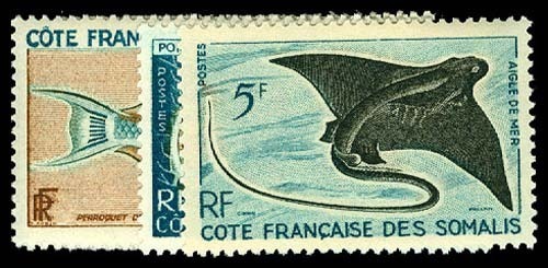 Lot 59535 - 275-82