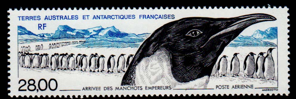 Lot 67797 - C132