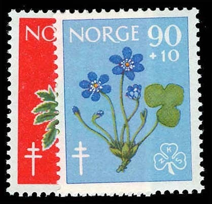 Lot 70935 - B62-63