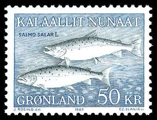 Lot 74072 - 141