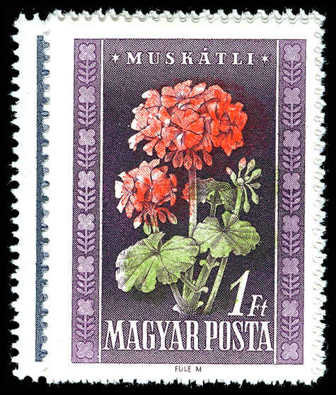 Lot 74156 - 906-10