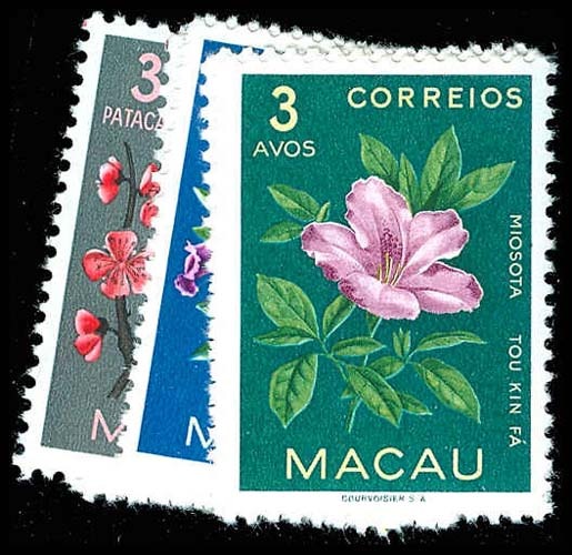Lot 74179 - 372-81