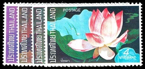 Lot 76043 - 648-51