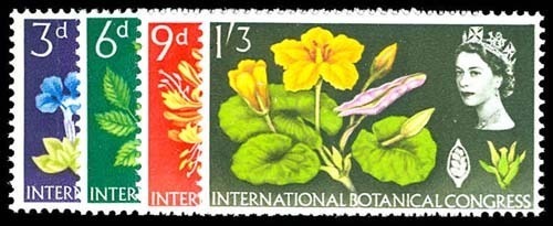 Lot 76210 - 414p-17p