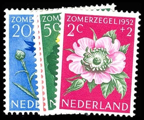 Lot 76436 - B238-42