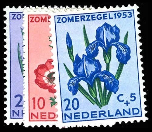 Lot 76437 - B249-53