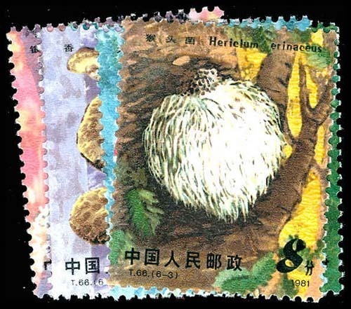 Lot 77551 - 1703-08