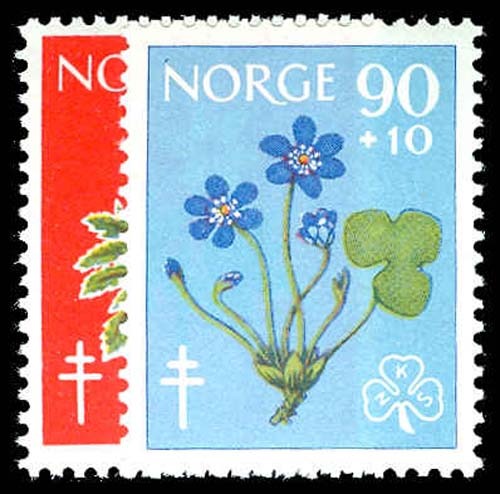 Lot 78079 - B62-63