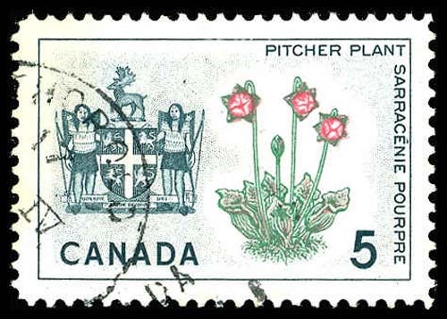 Lot 85440 - 427ii
