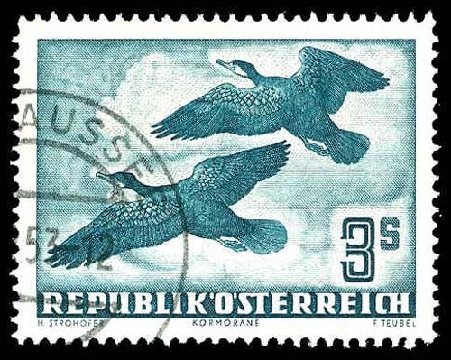 Lot 85685 - C57