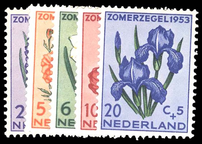 Lot 91615 - B249-53