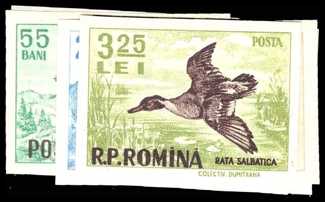 Lot 91664 - 1082-93