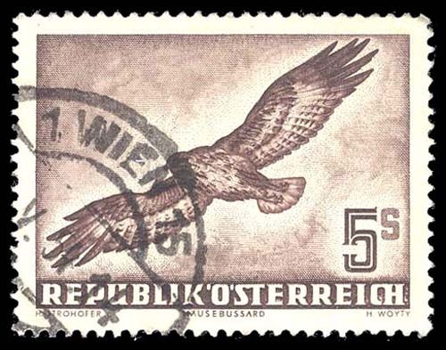 Lot 91911 - C58