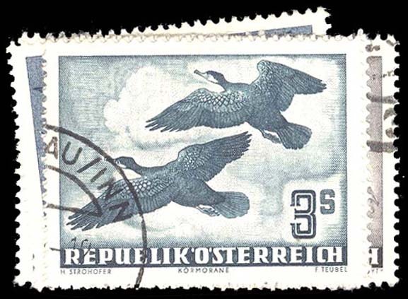 Lot 91914 - C54-60