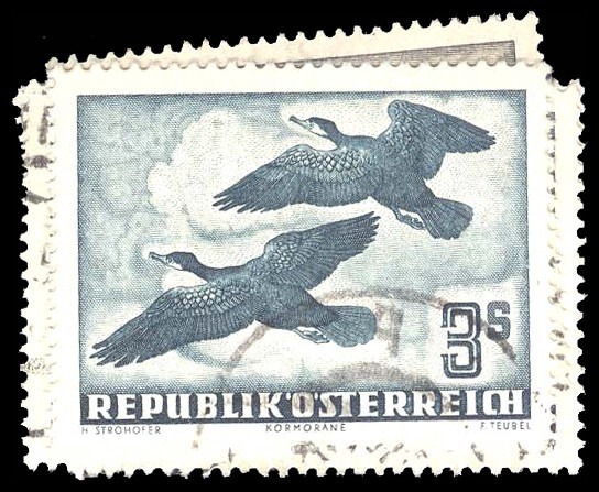 Lot 91915 - C54-60