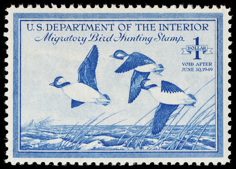 Lot 164375 - RW15
