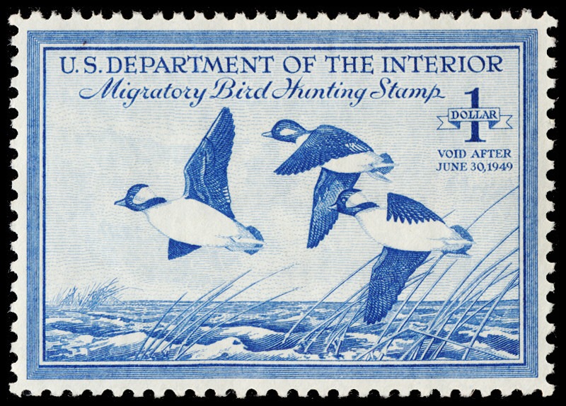 Lot 164376 - RW15