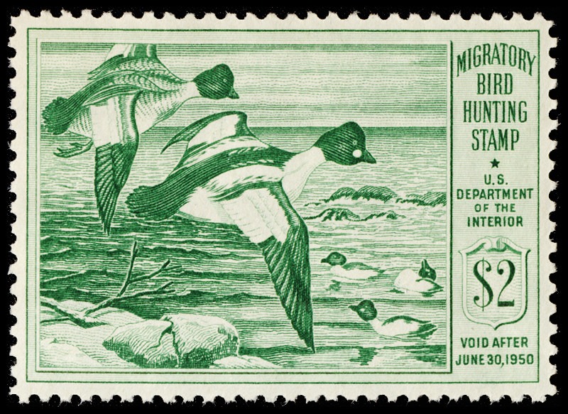 Lot 164377 - RW16