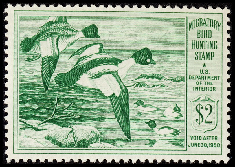 Lot 164378 - RW16