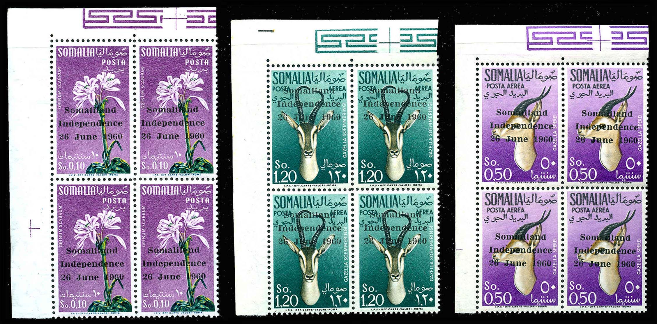 Lot 99396 - 242